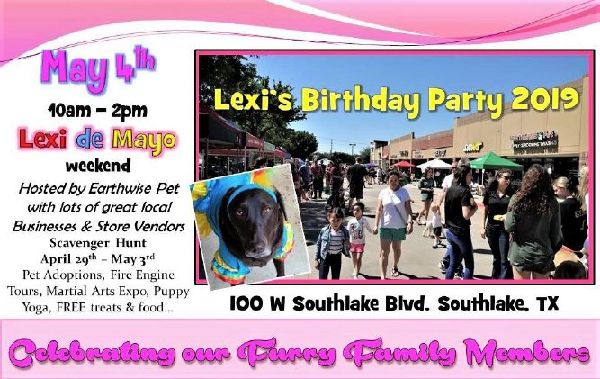 Lexi's BDay Party.png