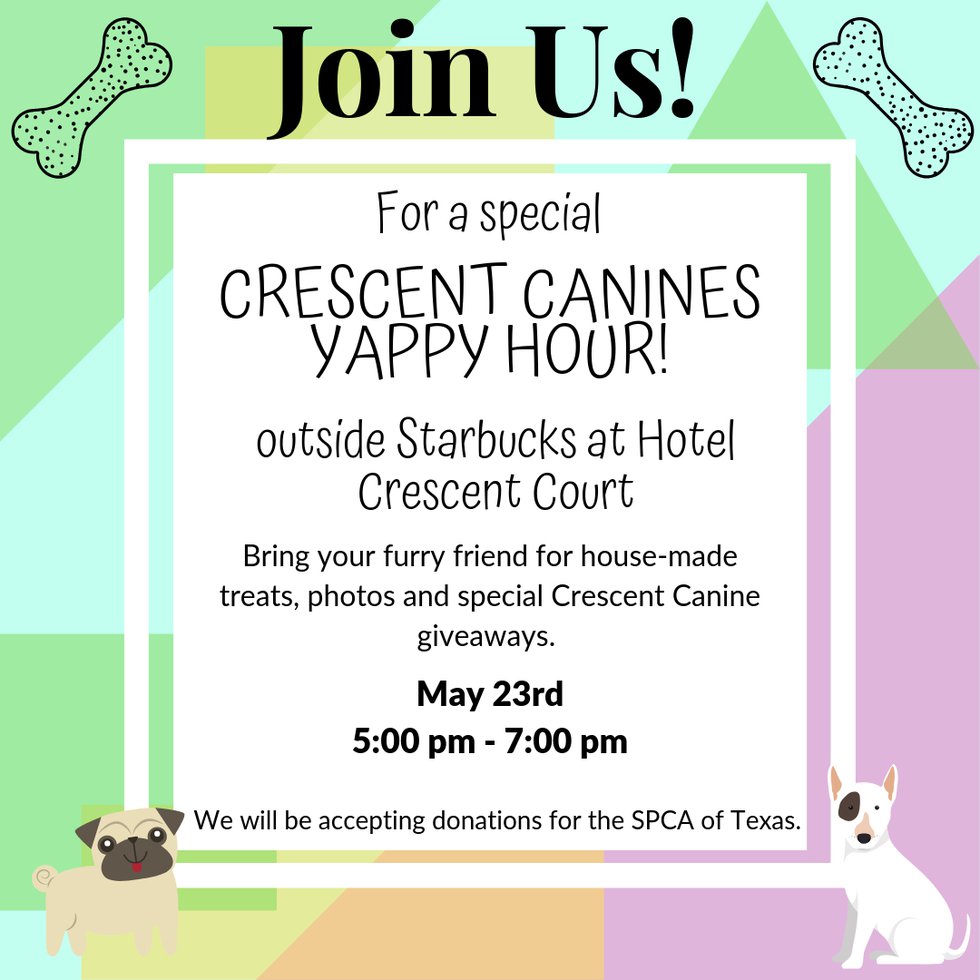 Save the Date Yappy Hour.jpg