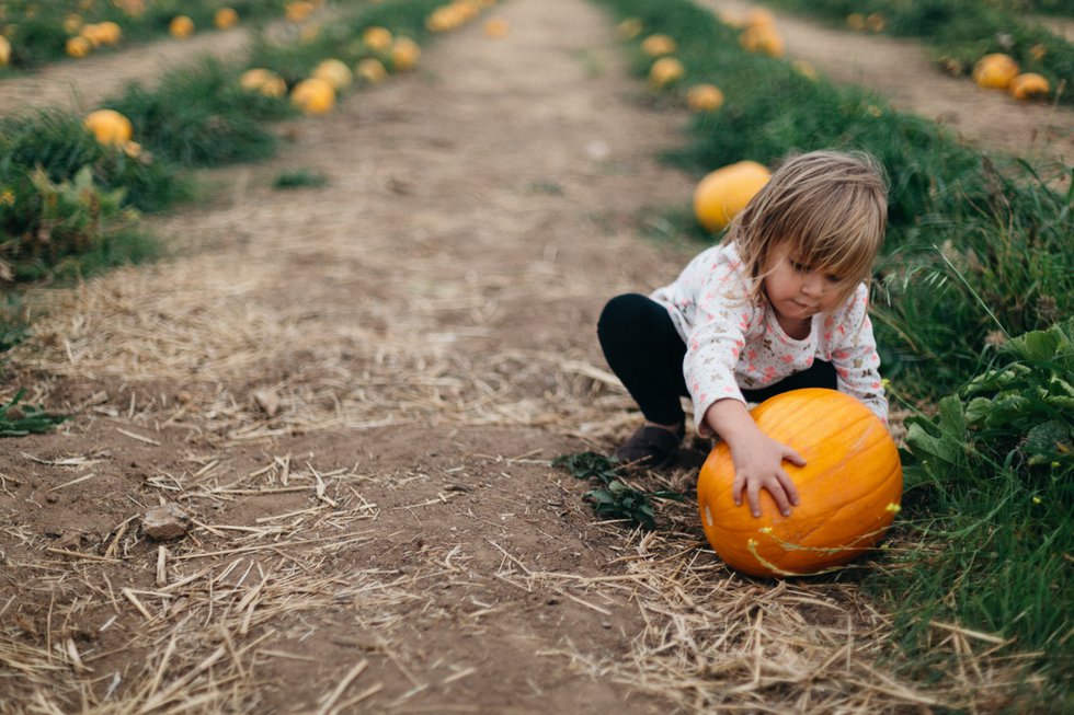 fall-activities-for-preschoolers-1.jpg