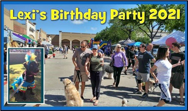 Lexi’s Bday Party 2021 Banner.jpg