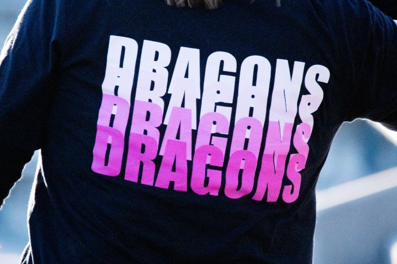 Dragon Pink Out.jpeg