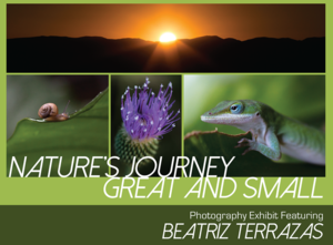 Natures Journey Great and Small  Photography Exhibit - start Sep 09 2016 0630PM